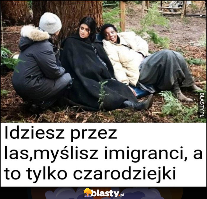 Idziesz przez las, myślisz imigranci, a to tylko czarodziejki Wiedźmin Netflix