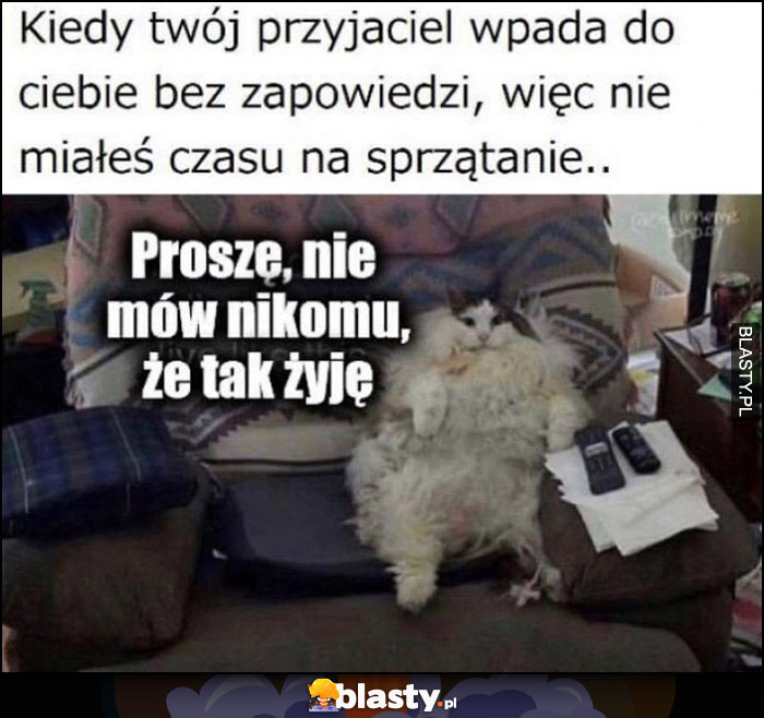 Kiedy twój przyjaciel wpada do ciebie bez zapowiedzi więc nie miałeś czasu na sprzątanie kot: proszę nie mów nikomu, że tak żyję