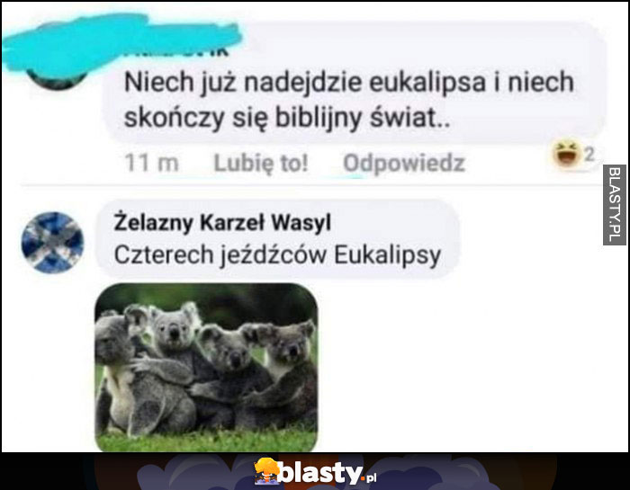 Niech już nadejdzie eukalipsa i niech skończy się biblijny świat, koala czterech jeźdźców eukalipsy