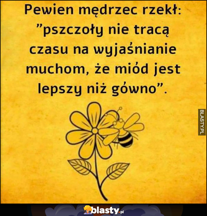 Pewien mędrzec rzekł: pszczoły nie tracą czasu na wyjaśnianie muchom, ze miód jest lepszy niż gówno