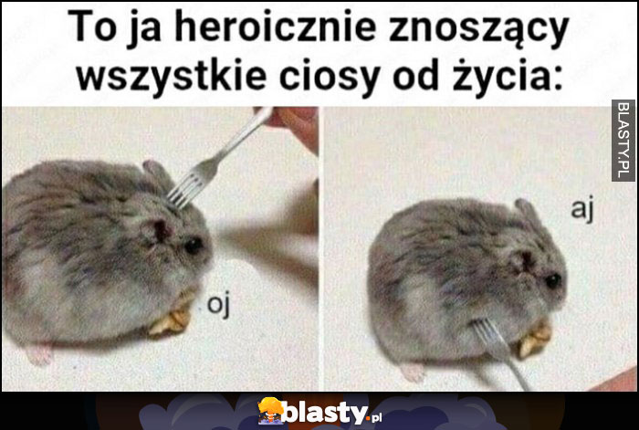 To ja heroicznie znoszący wszystkie ciosy od życia oj aj