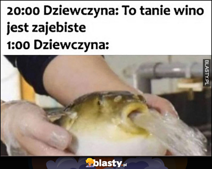 20:00 dziewczyna to tanie wino jest super, 1:00 dziewczyna rzyga ryba