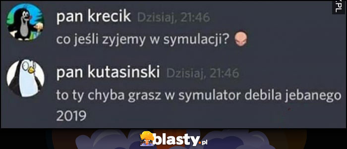 Co jeśli żyjemy w symulacji? To ty chyba grasz w symulator debila 2019