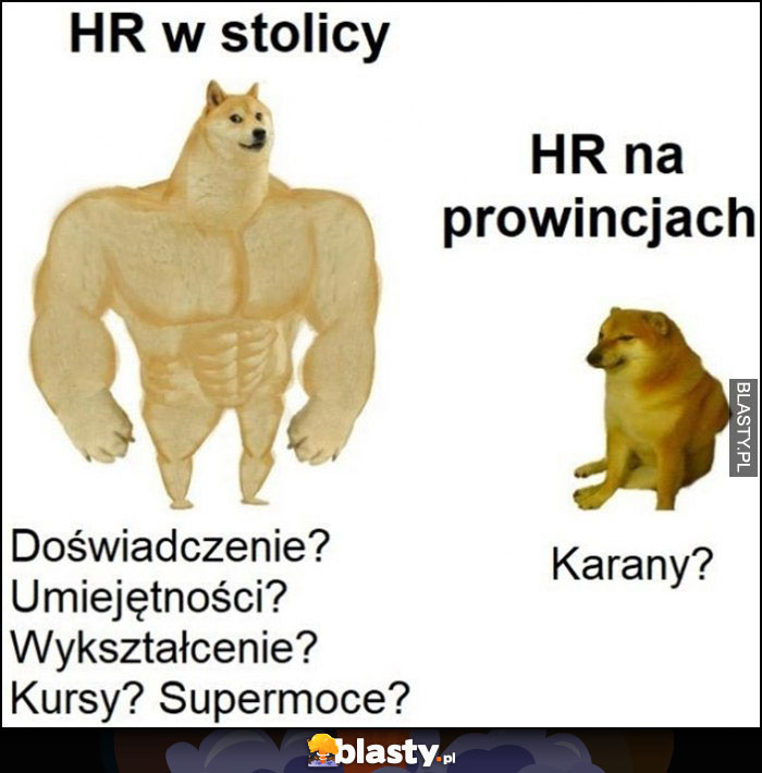 HR w stolicy: doświadczenie, umiejętności, wykształcenie? vs HR na prowincjach: karany? Pies pieseł doge