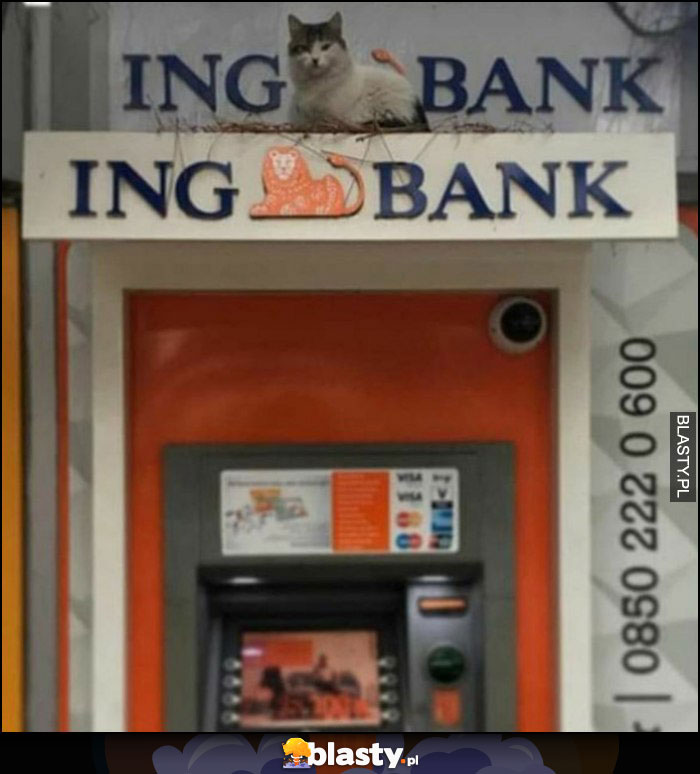 ING Bank logo kot zamiast lwa