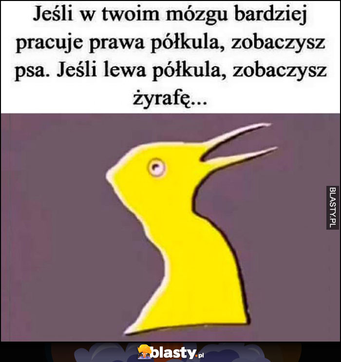 Jeśli w twoim mózgu bardziej pracuje prawa półkula zobaczysz psa, jeśli lewa zobaczysz żyrafę rysunek trolling