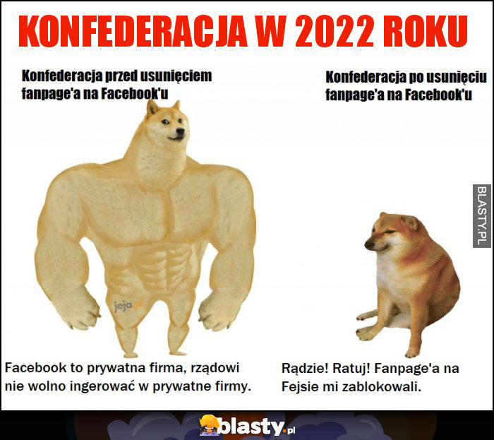 Konfederacja w 2022 roku