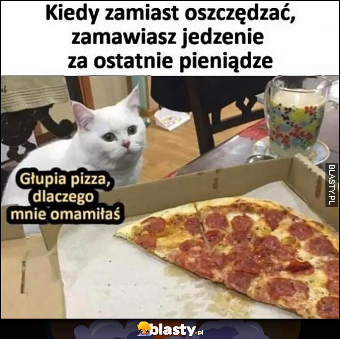 Kot kiedy zamiast oszczędzać zamawiasz jedzenie za ostatnie pieniądzie, głupia pizza dlaczego mnie omamiłaś