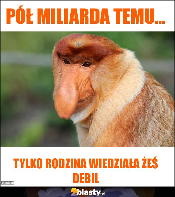 Pół miliarda temu...