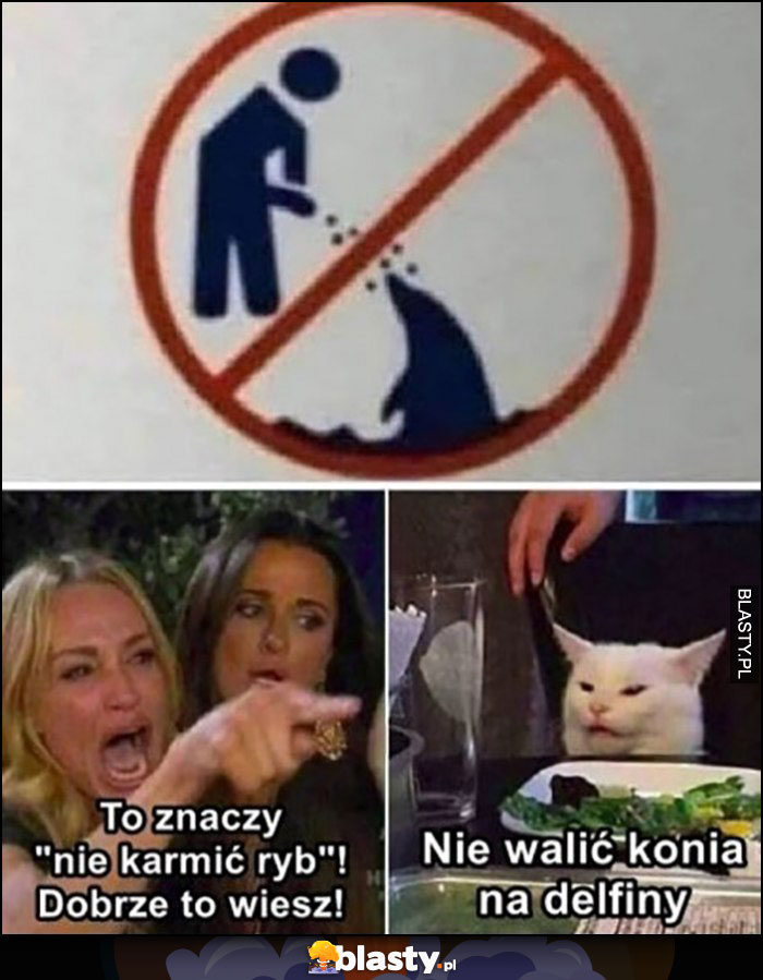 To znaczy nie karmić ryb znak nie walić konia na delfiny