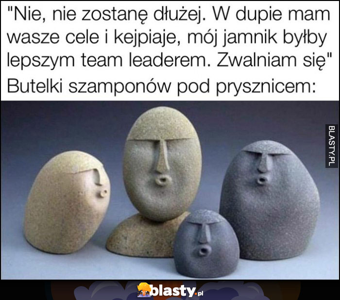 Zwalniam się, w dupie mam wasz zespół, mój jamnik byłby lepszym team leaderem, butelki szamonów pod prysznicem kamienie uuu