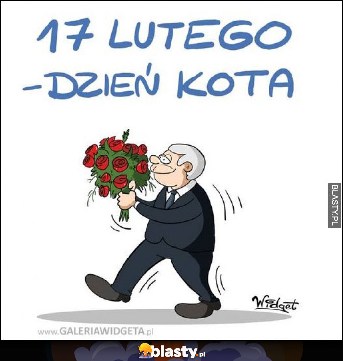 17 lutego - Dzień kota