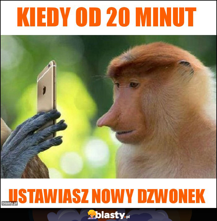 Kiedy od 20 minut
