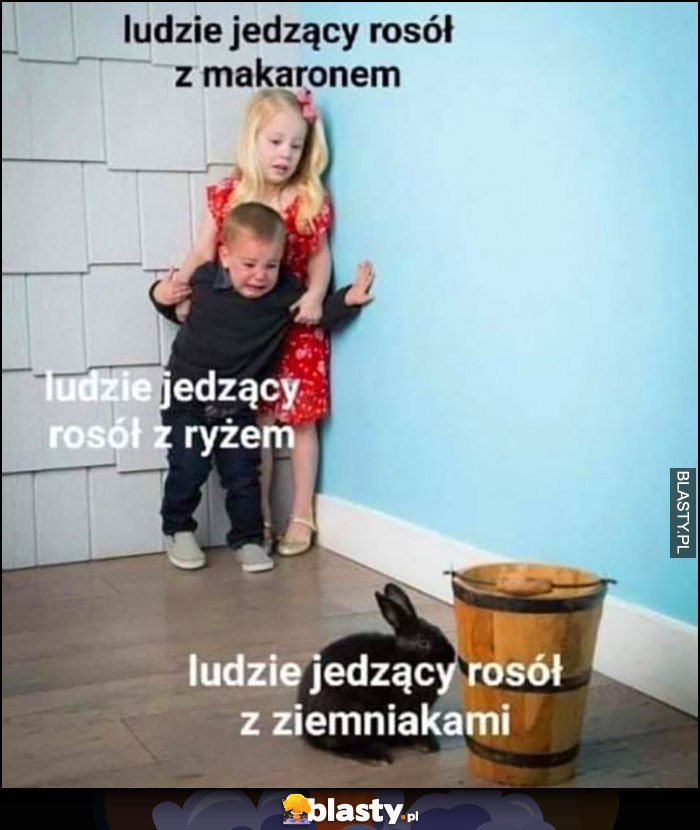 Ludzie jedzący rosół z makaronem vs z ryżem vs z ziemniakami królik zając