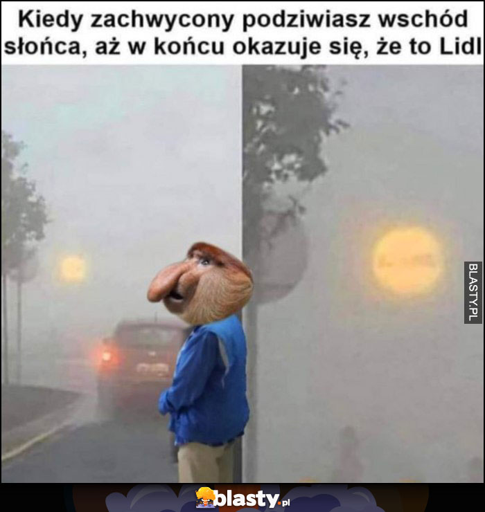 Polak nosacz kiedy zachwycony podziwiasz wschód słońca, aż w końcu okazuje się że to logo Lidla