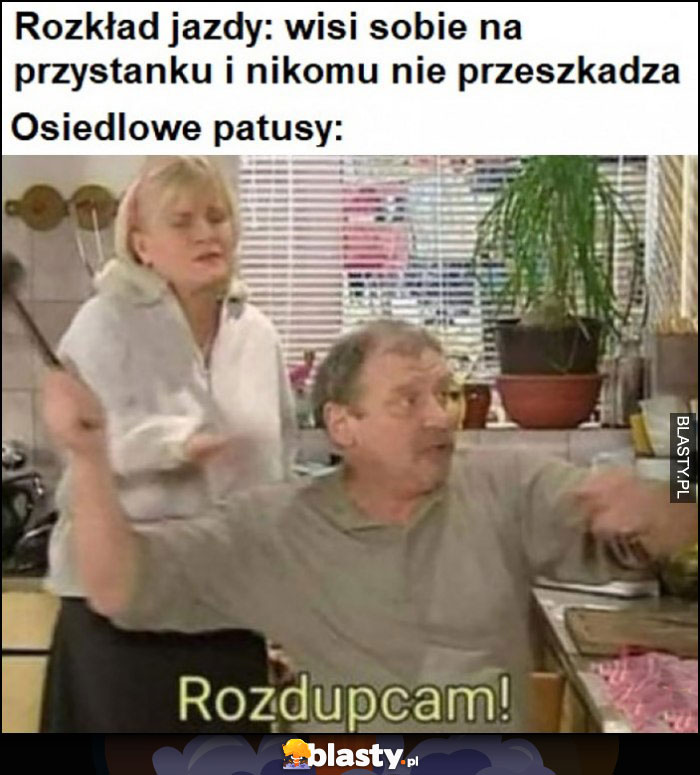 Rozkład jazdy: wisi na przystanku i nie przeszkadza vs osiedlowe patusy: rozdupcam świat według kiepskich