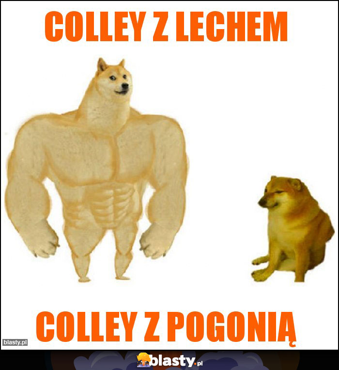 Colley z Lechem