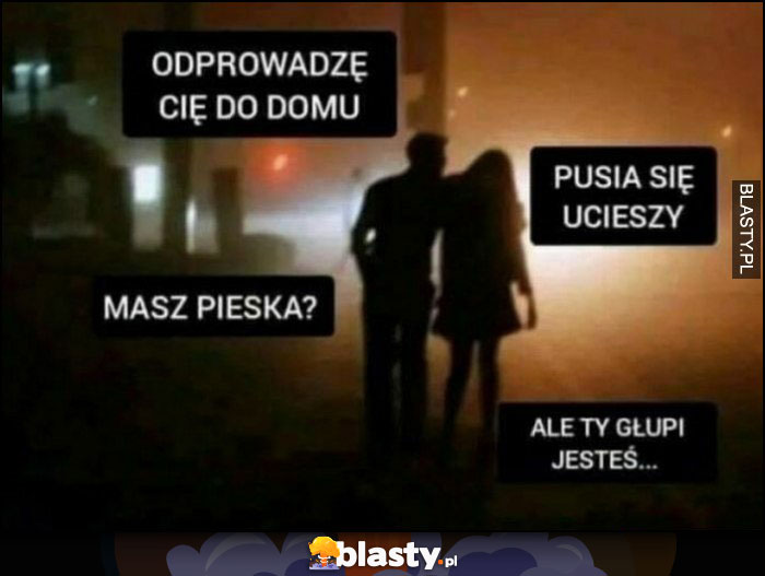 Facet: odprowadzę cię do domu, laska: pusia się ucieszy, masz pieska? Ale ty głupi jesteś