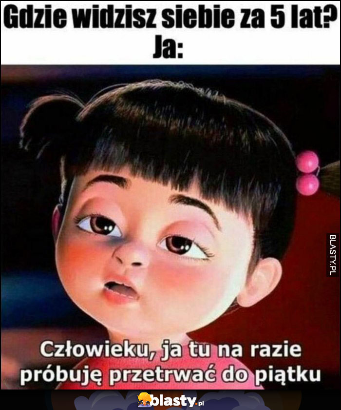 Gdzie widzisz siebie za 5 lat? Ja: człowieku ja tu na razie próbuję przetrwać do piątku