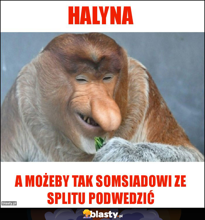 Halyna