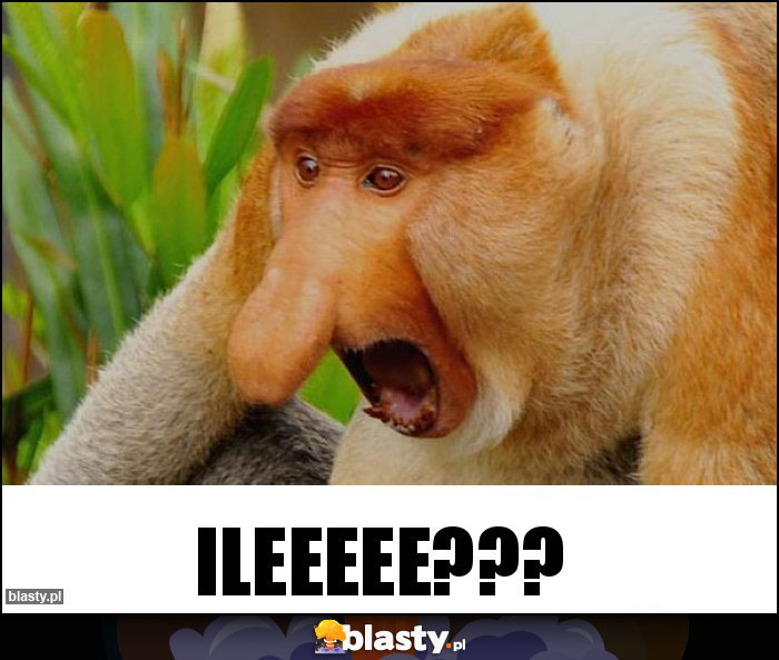 ILEEEEE???