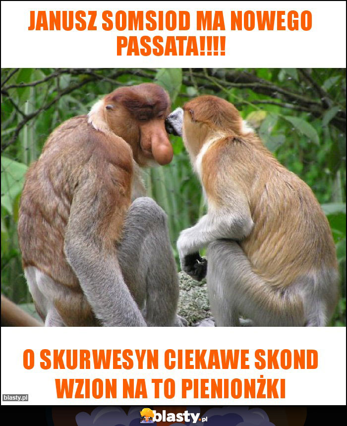 Janusz somsiod ma nowego passata!!!!