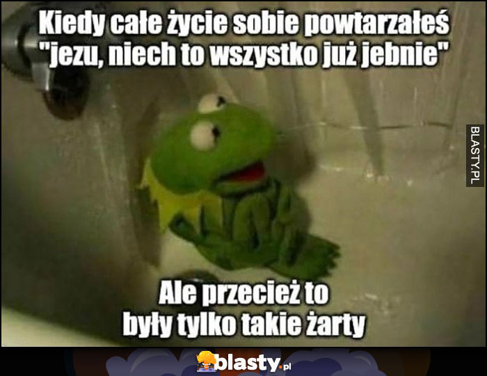 Kermit kiedy całe życie sobie powtarzałeś niech to wszystko jebnie ale przecież to były tylko takie żarty