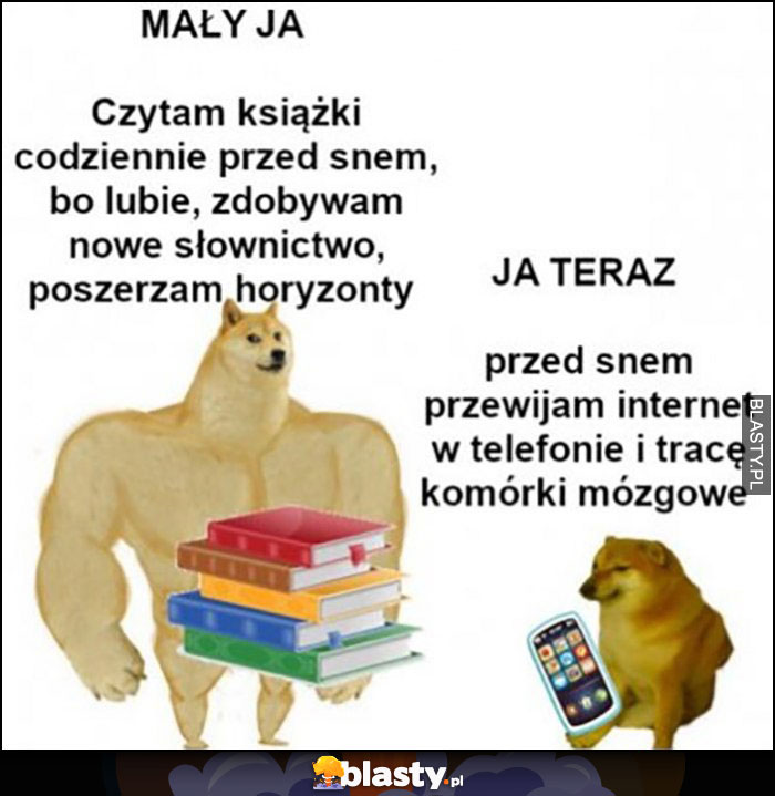 Mały ja czytam, książki, uczę się, ja teraz przed snem przewijam internet w telefonie i tracę komórki mózgowe pies pieseł doge