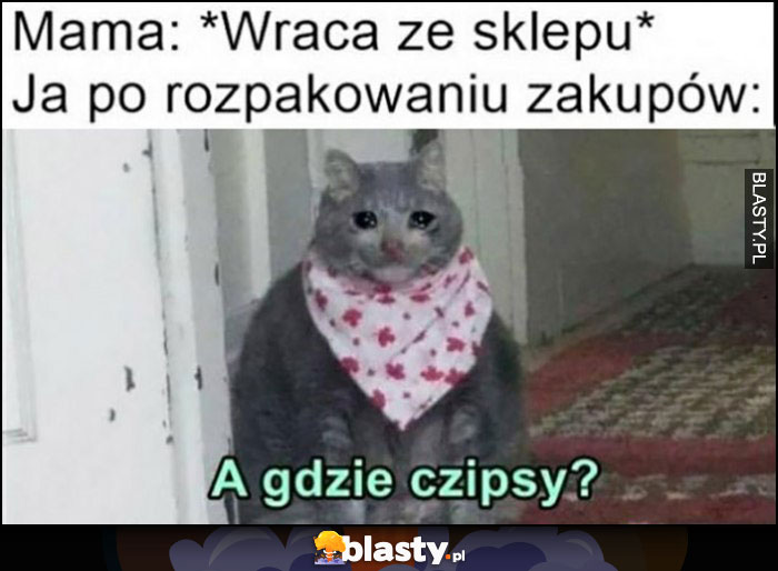 Mama wraca ze sklepu, ja po rozpakowaniu zakupów smutny kot a gdzie czipsy?