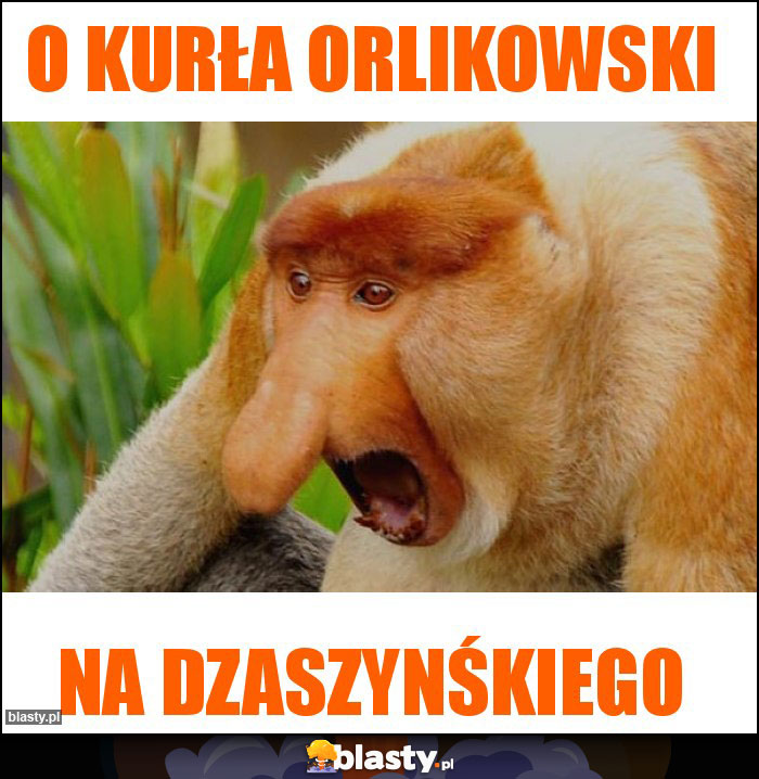 O Kurła Orlikowski