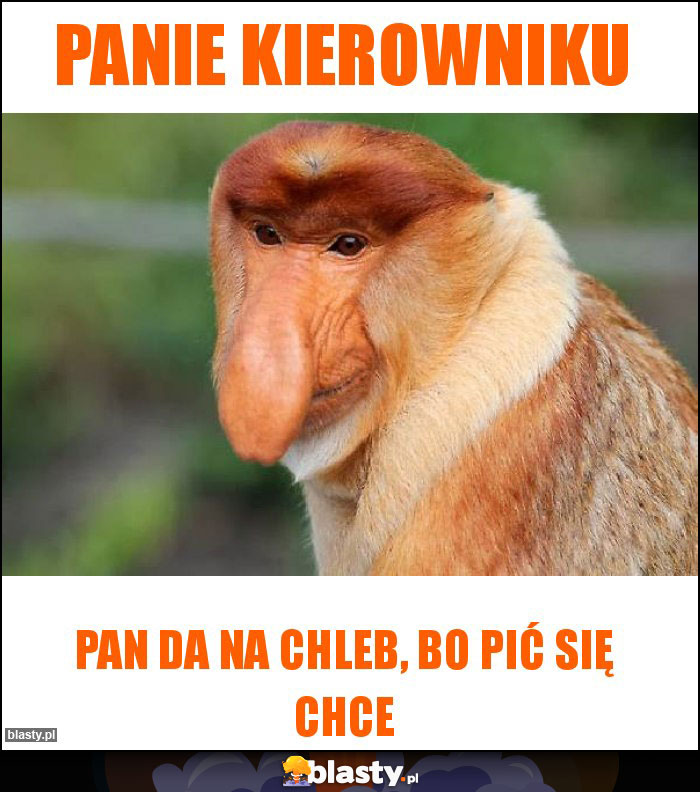 Panie kierowniku