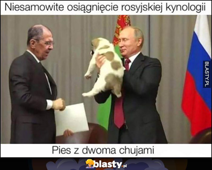 Putin Ławrow niesamowite osiągnięcie rosyjskiej kynologii pies z dwoma członkami