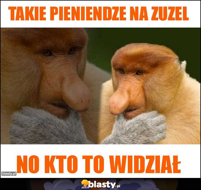 Takie pieniendze na zuzel