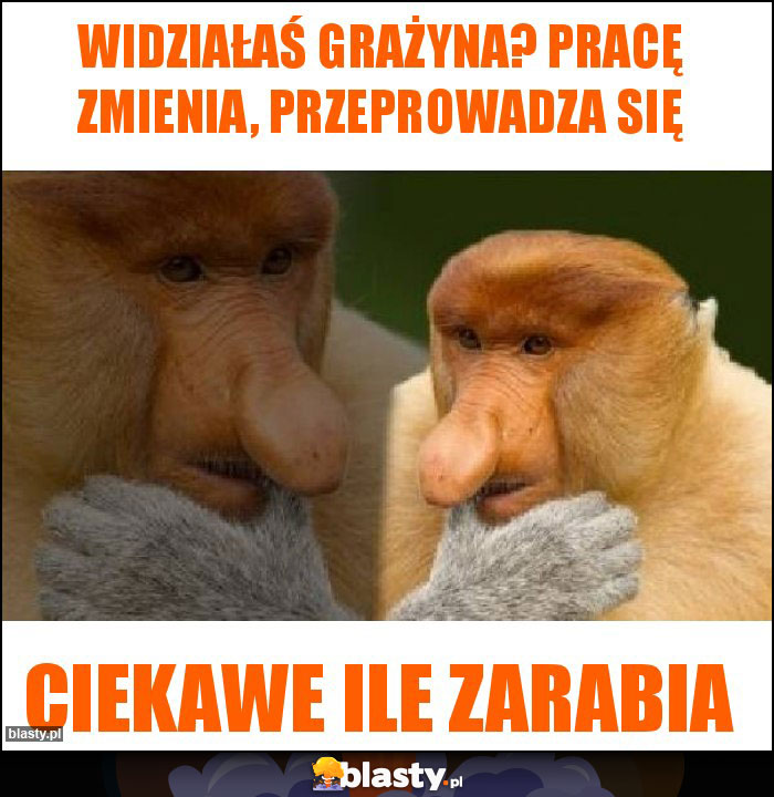Widziałaś Grażyna? Pracę zmienia, przeprowadza się