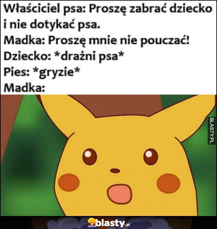 Właściciel psa: proszę zabrać dziecko, madka: proszę mnie nie pouczać, dziecko drażni psa, pies gryzie, matka zdziwiony Pikachu