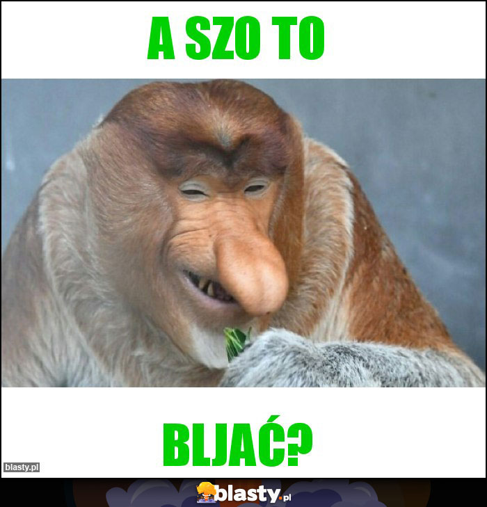 A szo to