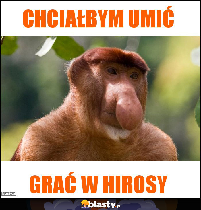Chciałbym umić