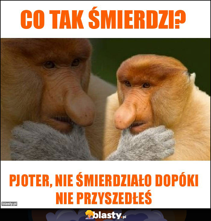 Co tak śmierdzi?