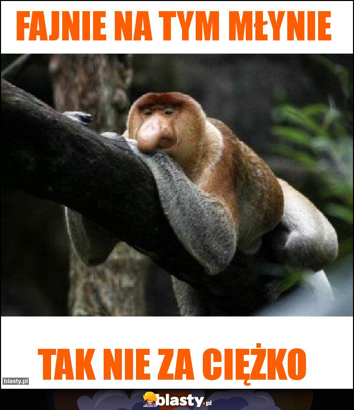 Fajnie na tym młynie