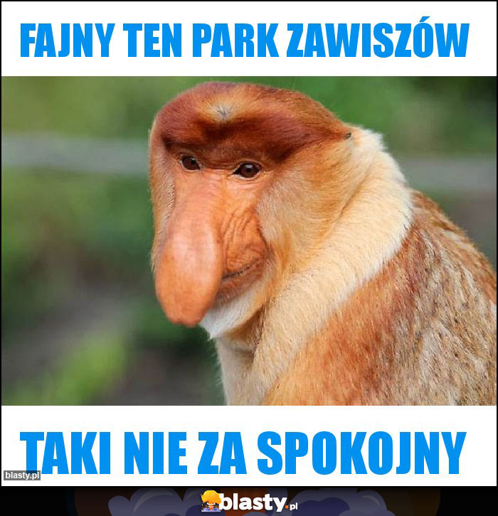 Fajny ten park zawiszów