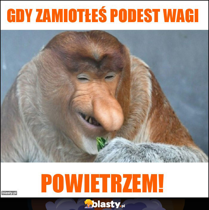 Gdy zamiotłeś podest wagi
