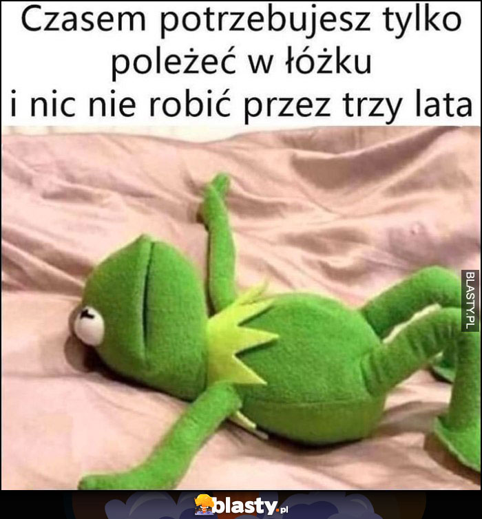 Kermit czasem potrzebujesz tylko poleżeć w łóżku i nic nie robić przez trzy lata