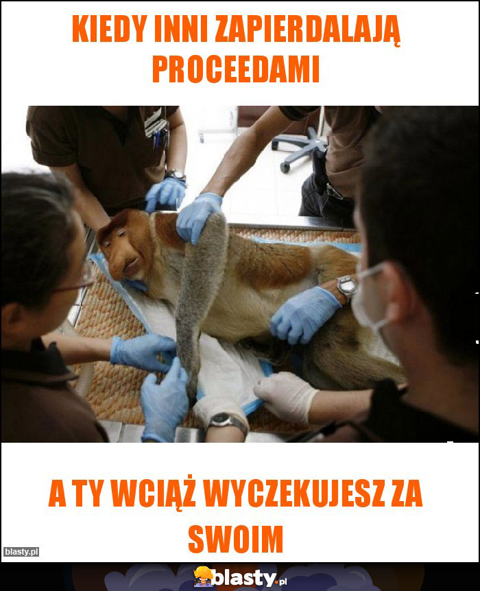 Kiedy inni zapierdalają Proceedami
