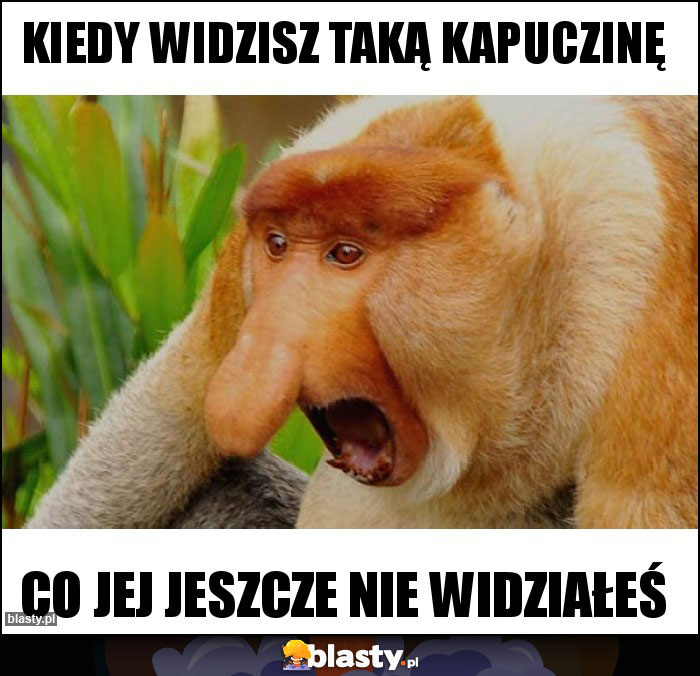Kiedy widzisz taką kapuczinę