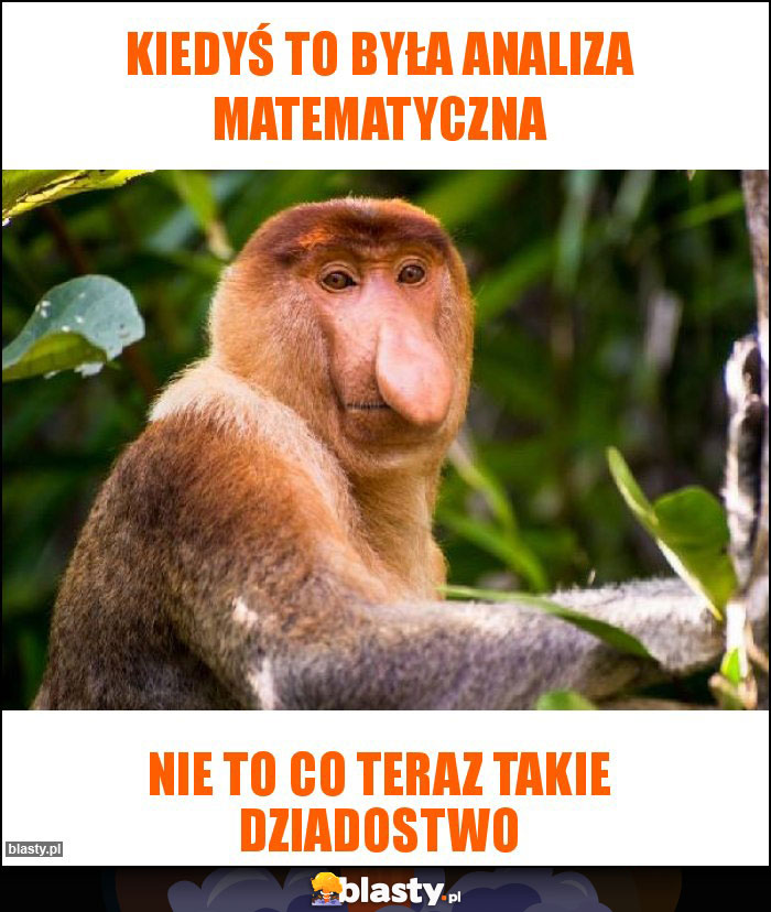 Kiedyś to była Analiza Matematyczna