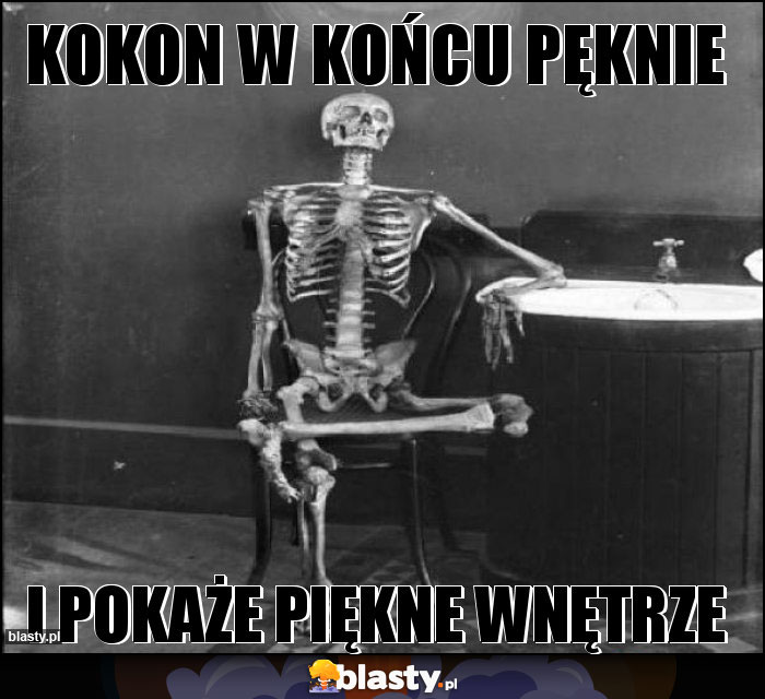 Kokon w końcu pęknie
