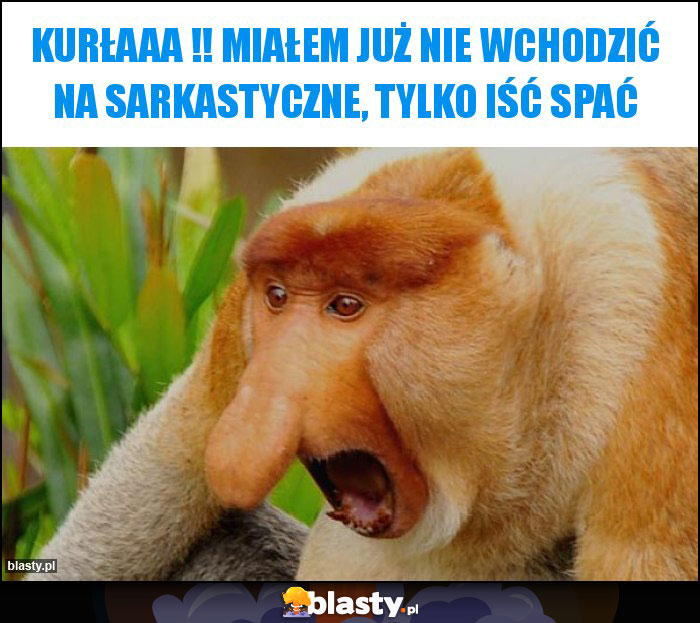 Kurłaaa !! Miałem już nie wchodzić na Sarkastyczne, tylko iść spać
