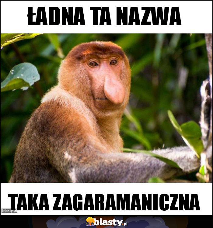 Ładna ta nazwa