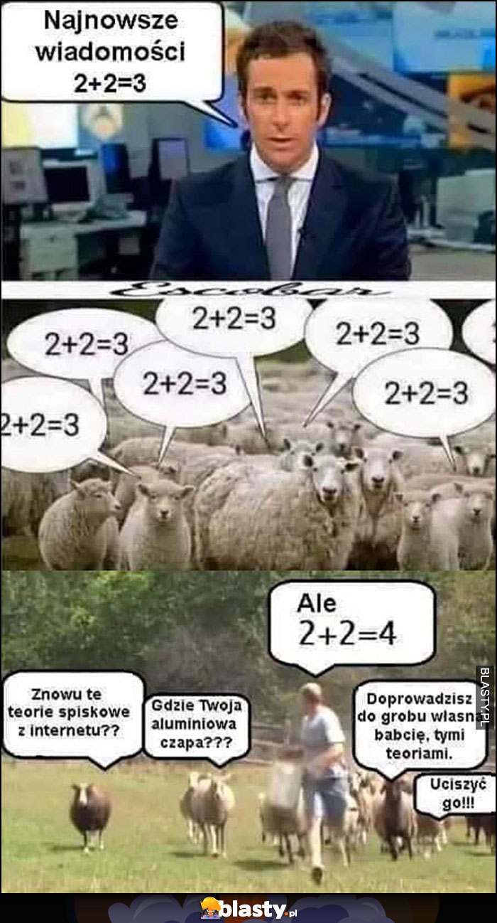 Najnowsze wiadomości 2+2=3 owce barany powtarzają goną gościa który mówi że 2+2=4