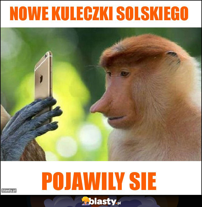 Nowe kuleczki solskiego
